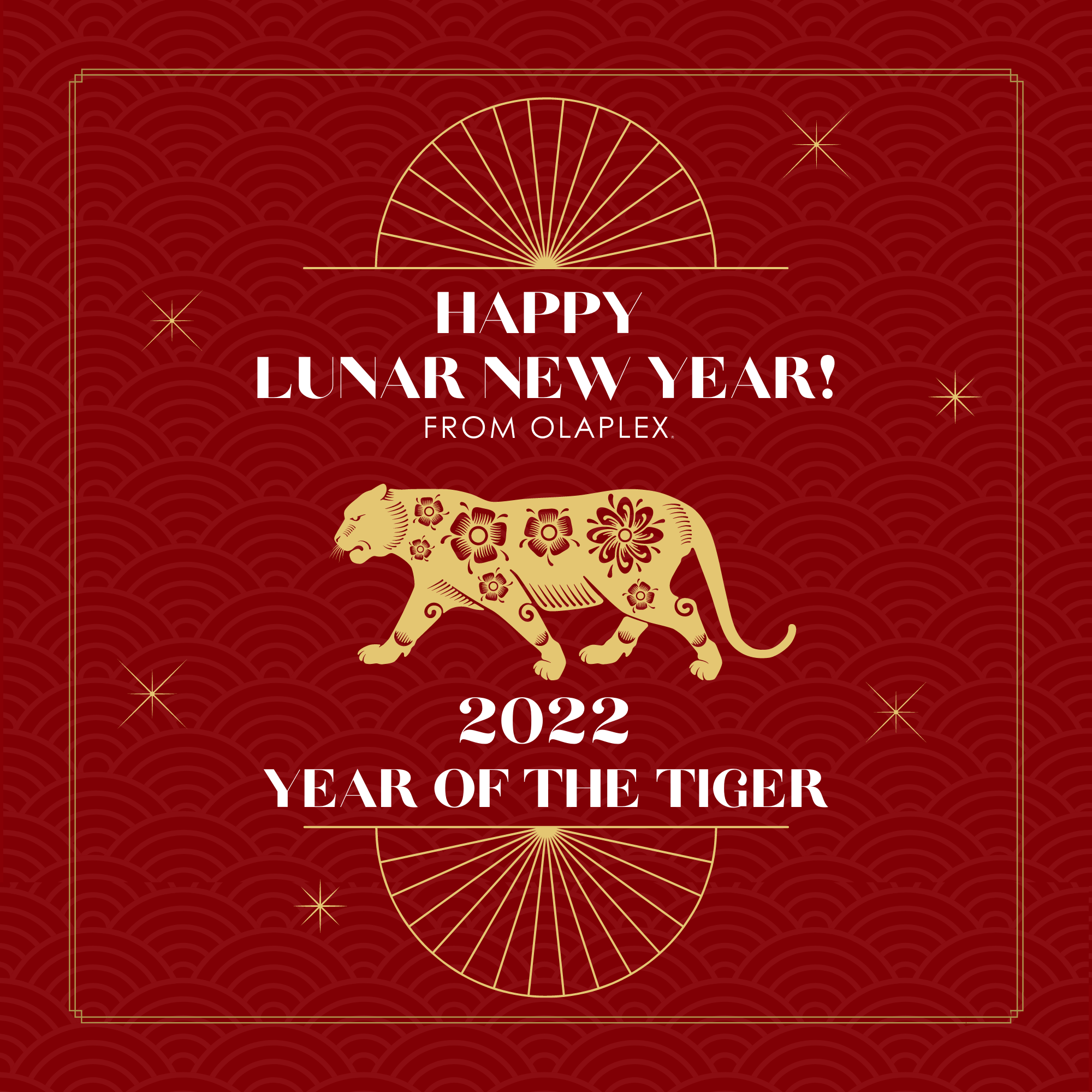 Happy Lunar New Year!