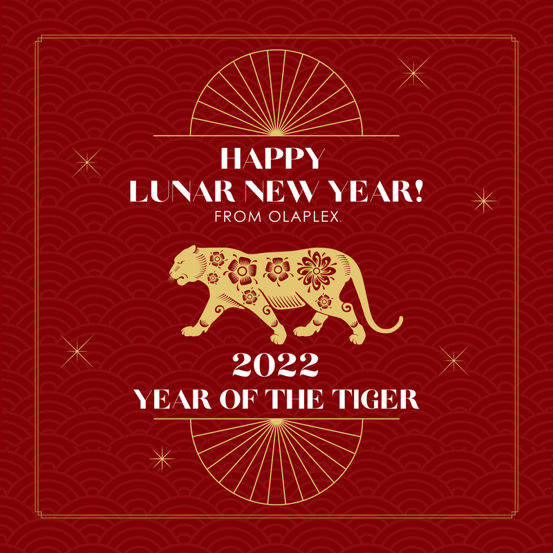 Happy Lunar New Year!