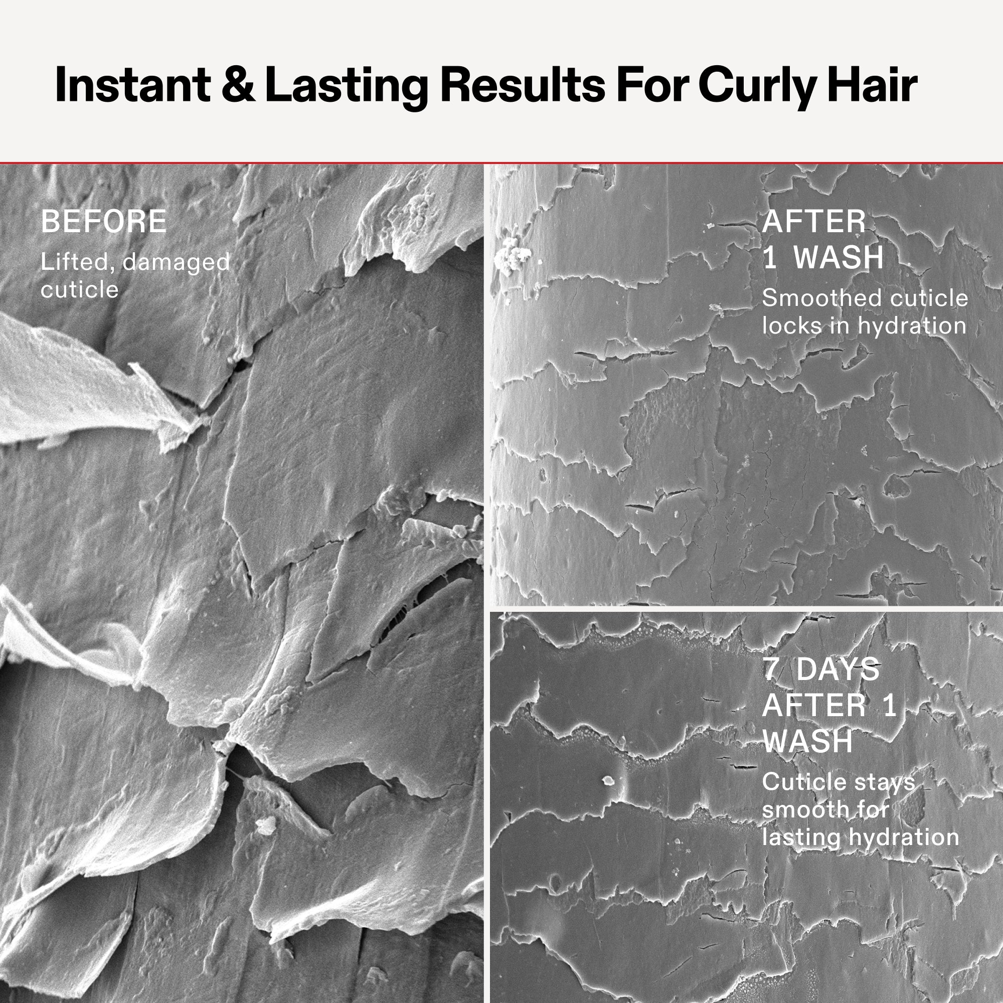 Comparaison scientifique intitulée « Résultats instantanés et durables pour les cheveux bouclés » montrant trois images SEM (microscope électronique à balayage) d’une cuticule capillaire. « Avant » montre une cuticule soulevée et endommagée. « Après 1 lavage » montre une cuticule lissée qui retient l'hydratation. « 7 jours après 1 lavage » montre que la cuticule reste lisse pour une hydratation durable.