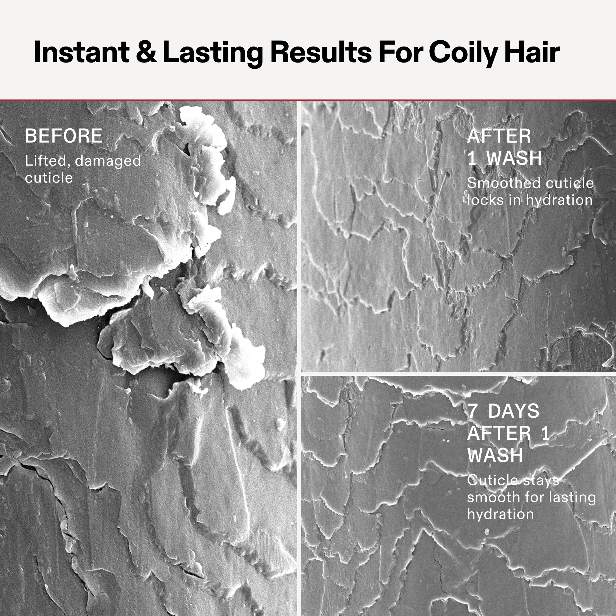 Comparaison scientifique intitulée « Résultats instantanés et durables pour les cheveux crépus » montrant trois images SEM (microscope électronique à balayage) d’une cuticule capillaire crépue. « Avant » montre une cuticule soulevée et endommagée. « Après 1 lavage » montre une cuticule lissée qui retient l'hydratation. « 7 jours après 1 lavage » montre que la cuticule reste lisse pour une hydratation durable.